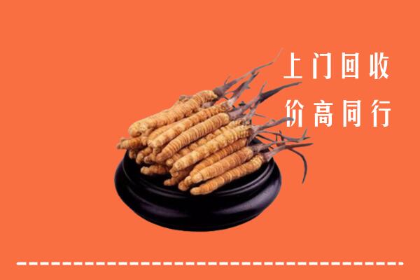 高价求购：兴化市回收散虫草
