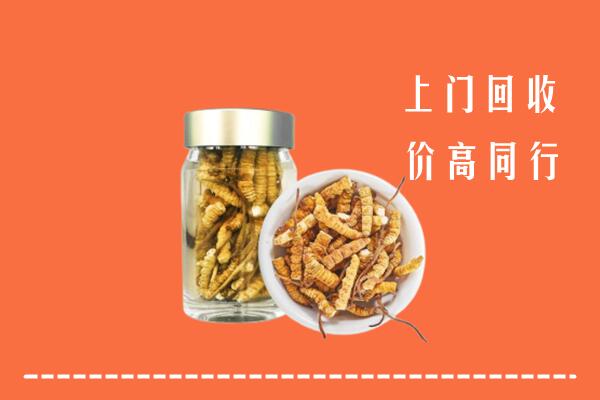 兴化市回收冬虫夏草