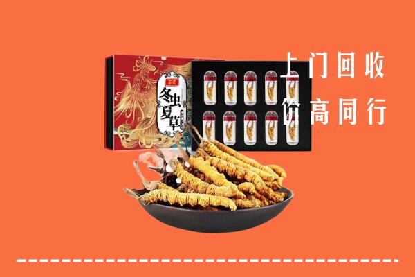 兴化市回收虫草